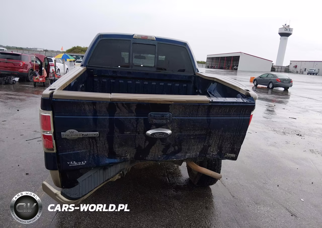 2010 Ford F-150 Fx4-Harley-Davidson-King Ranch-Lariat-Platinum-Xl-Xlt VIN:1FTFW1EV7AKA90305 - 6