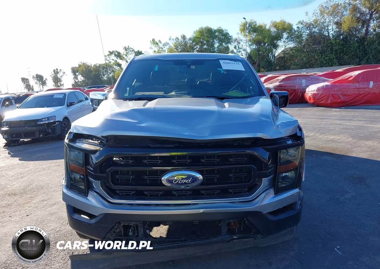 2021 Ford F-150 Platinum VIN:1FTFW1E8XMFA81685 - 12