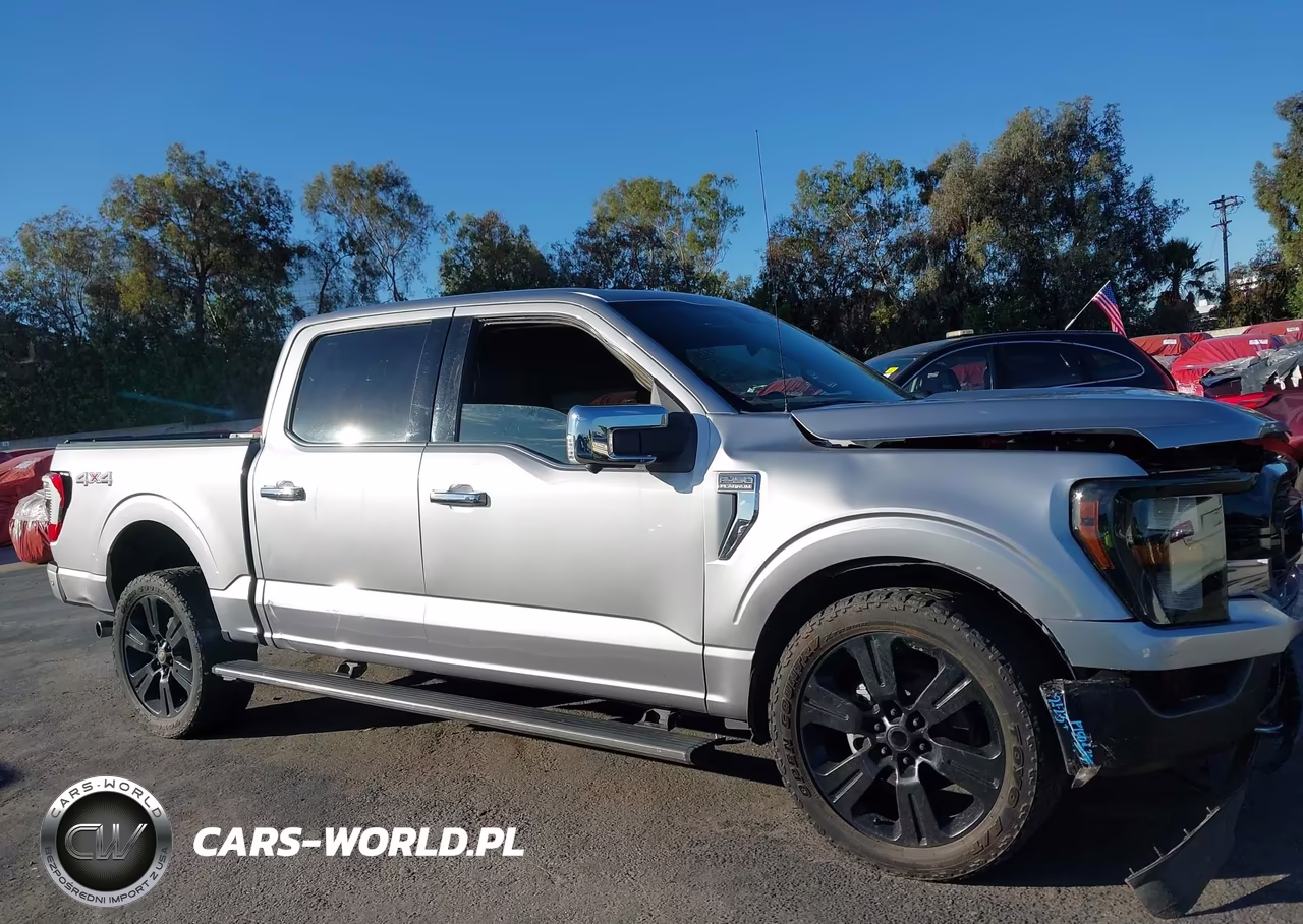 2021 Ford F-150 Platinum VIN:1FTFW1E8XMFA81685 - 13