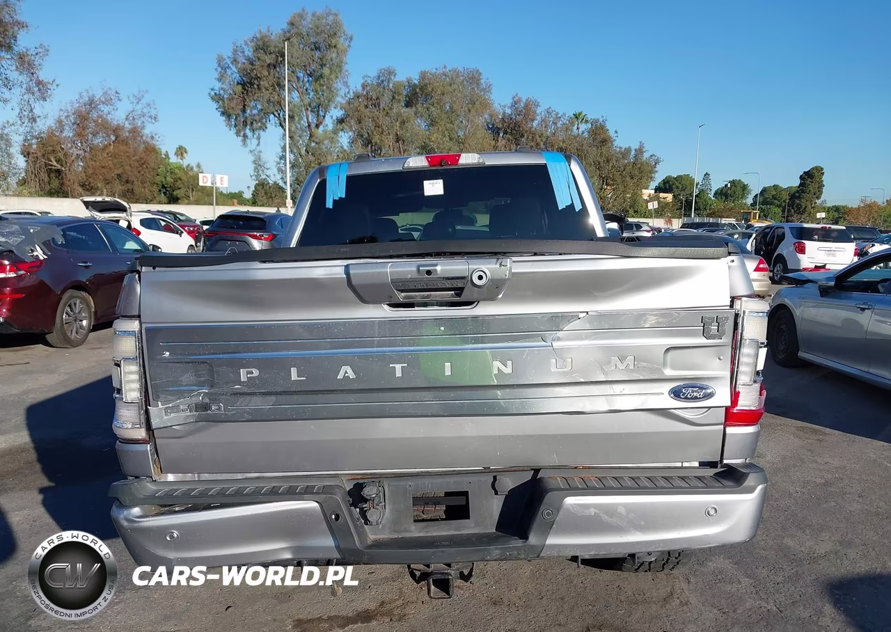 2021 Ford F-150 Platinum VIN:1FTFW1E8XMFA81685 - 16