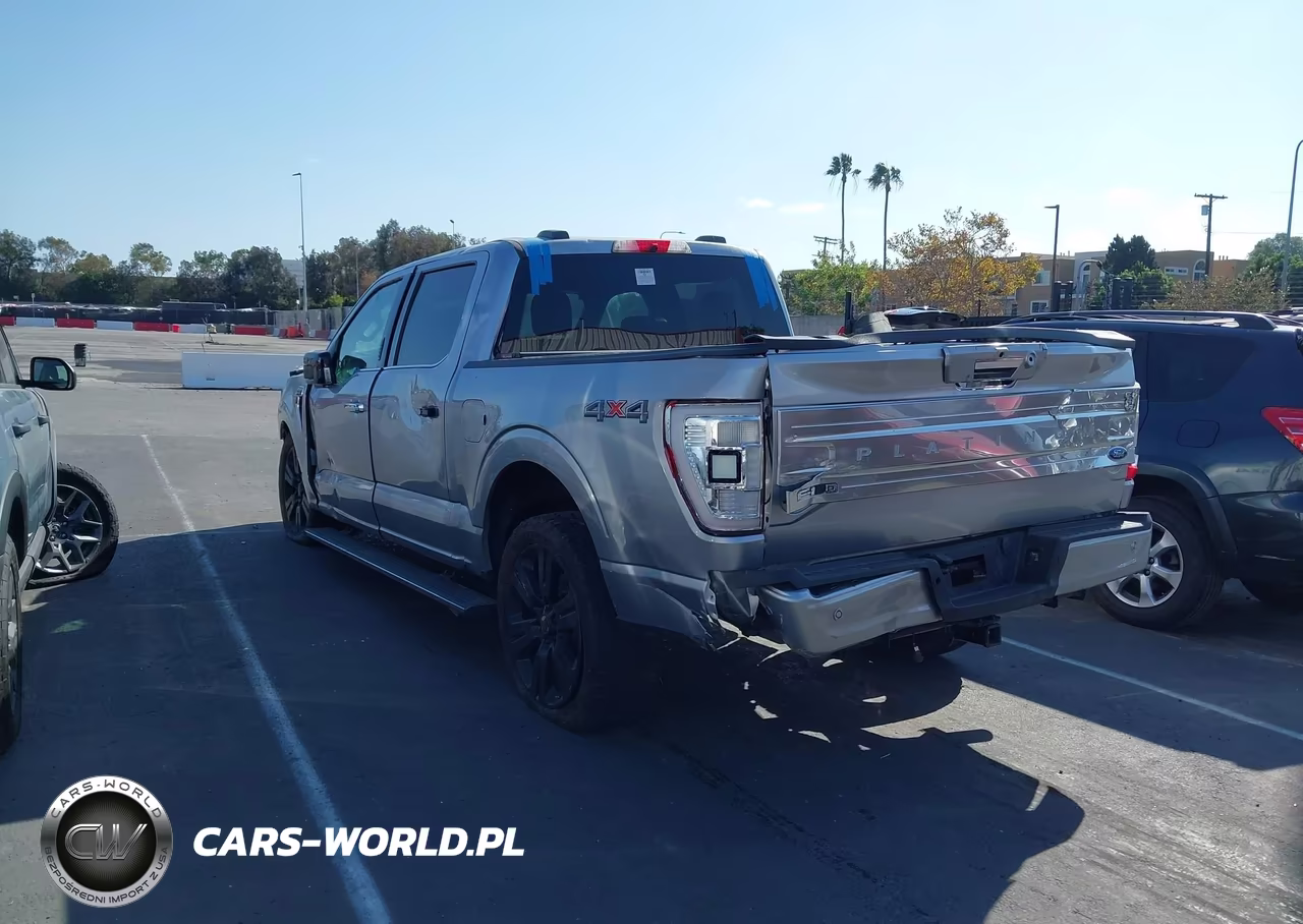 2021 Ford F-150 Platinum VIN:1FTFW1E8XMFA81685 - 3