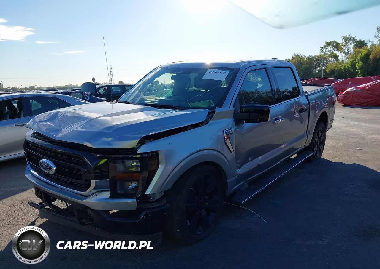 2021 Ford F-150 Platinum VIN:1FTFW1E8XMFA81685 - 6