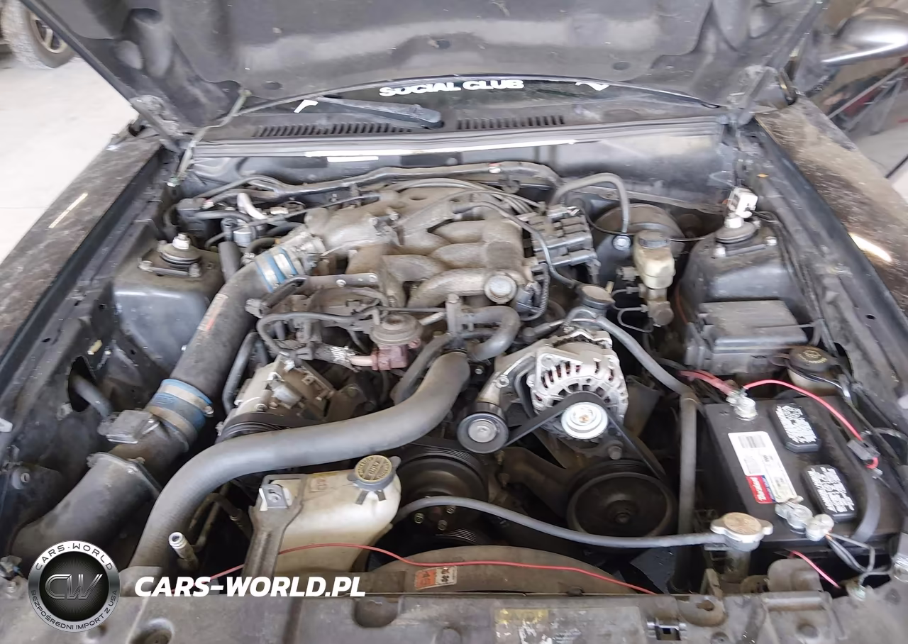 2004 Ford Mustang VIN:1FAFP40694F239282 - 10