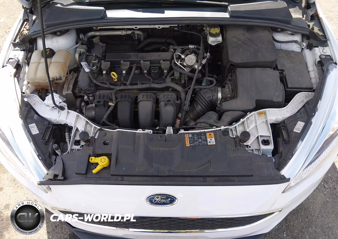 2018 Ford Focus Se VIN:1FADP3K2XJL283557 - 10