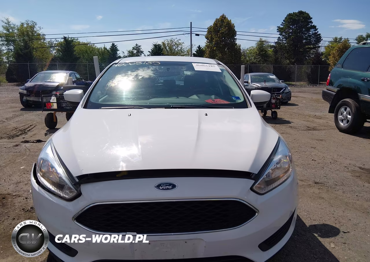 2018 Ford Focus Se VIN:1FADP3K2XJL283557 - 12