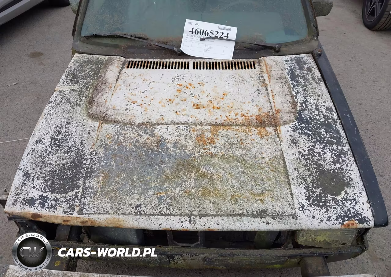 1981 Volkswagen Rabbit Truck VIN:1V1KG0176BV169819 - 10
