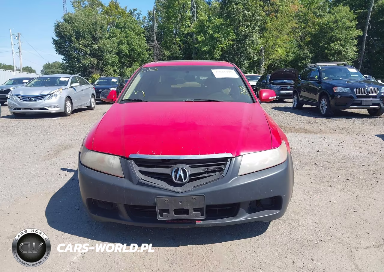 2004 Acura Tsx VIN:JH4CL95844C022643 - 12