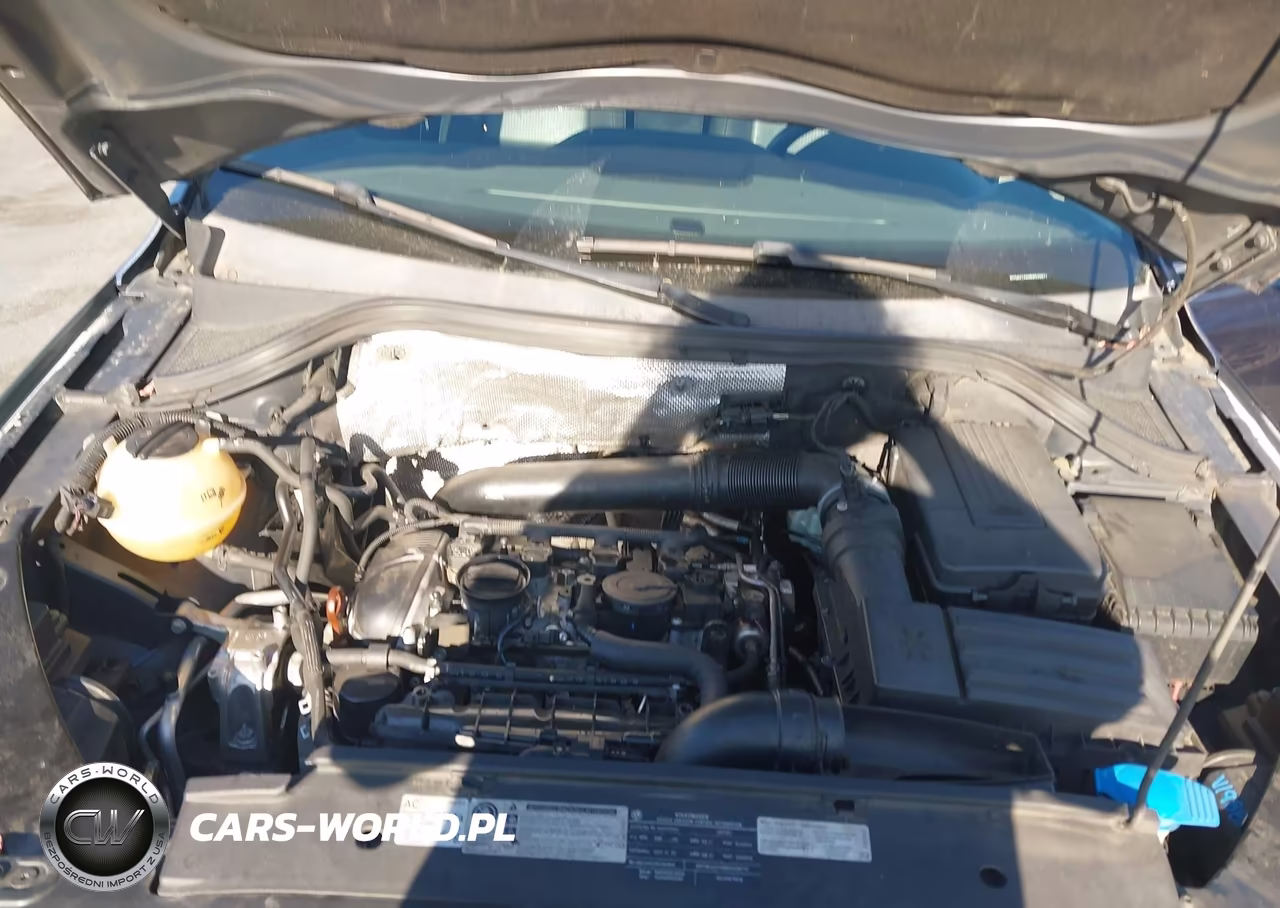 2011 Volkswagen Tiguan Se VIN:WVGAV7AX0BW539871 - 10