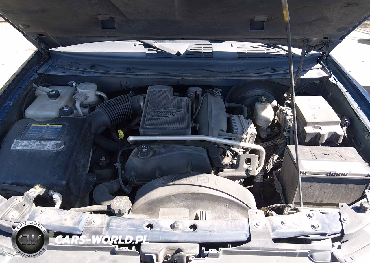 2003 Chevrolet Trailblazer Lt VIN:1GNDT13S532271051 - 10
