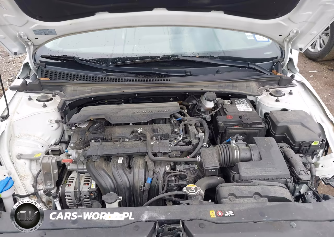 2024 Hyundai Elantra Sel VIN:KMHLM4DGXRU642453 - 10