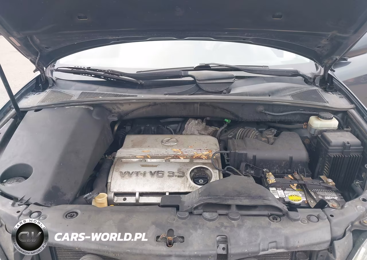 2005 Lexus Rx 330 VIN:JTJHA31U650089757 - 10