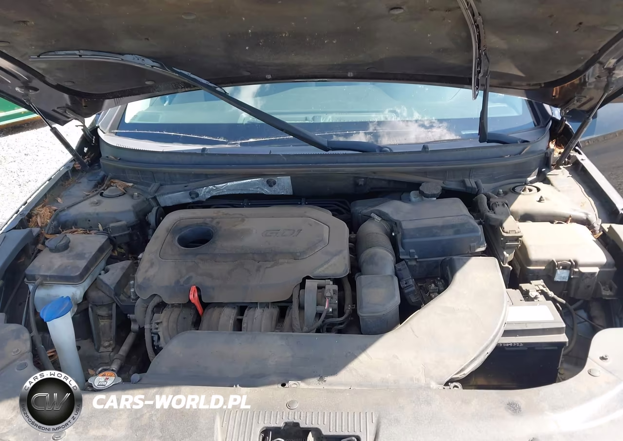 2015 Hyundai Sonata Se VIN:5NPE24AF5FH172594 - 10
