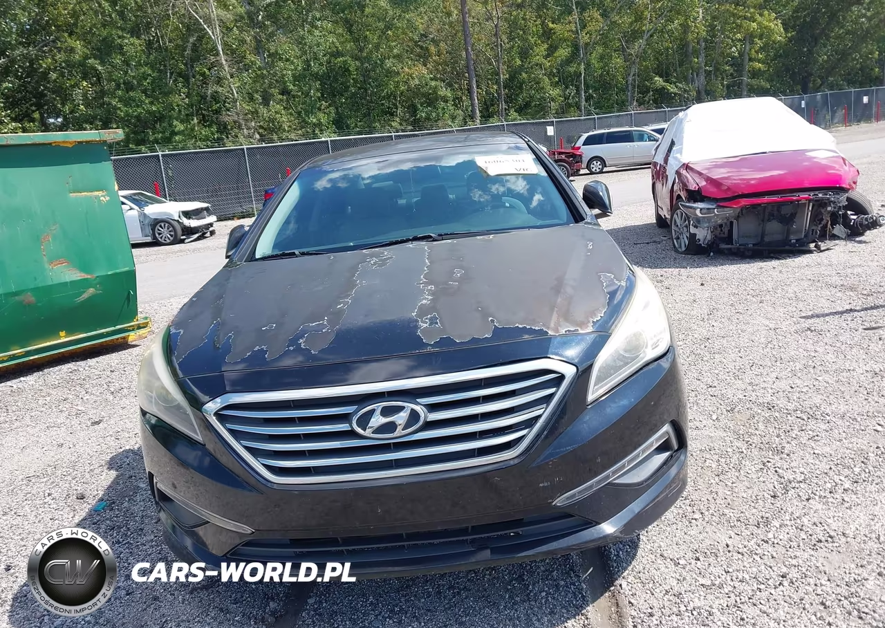 2015 Hyundai Sonata Se VIN:5NPE24AF5FH172594 - 13