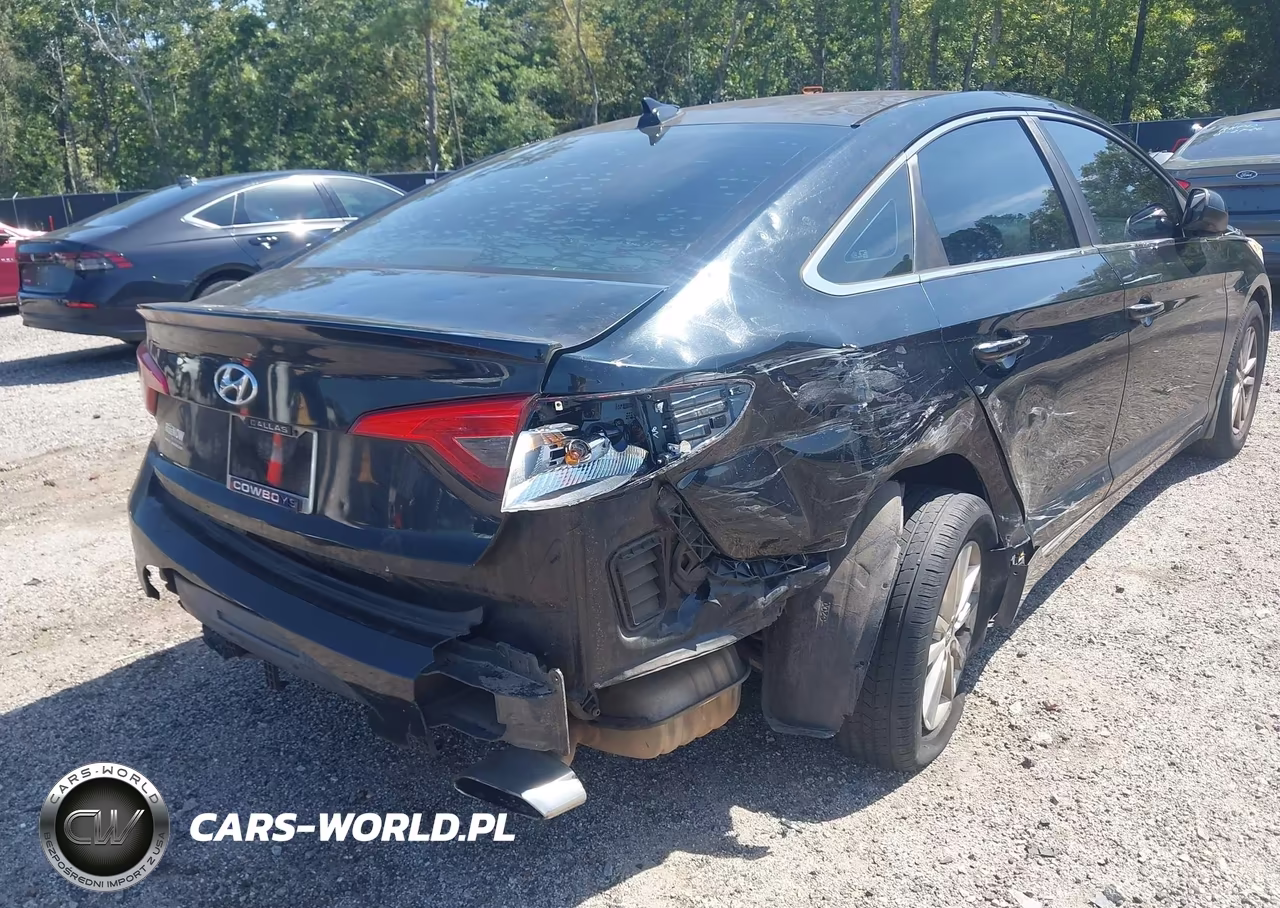 2015 Hyundai Sonata Se VIN:5NPE24AF5FH172594 - 18