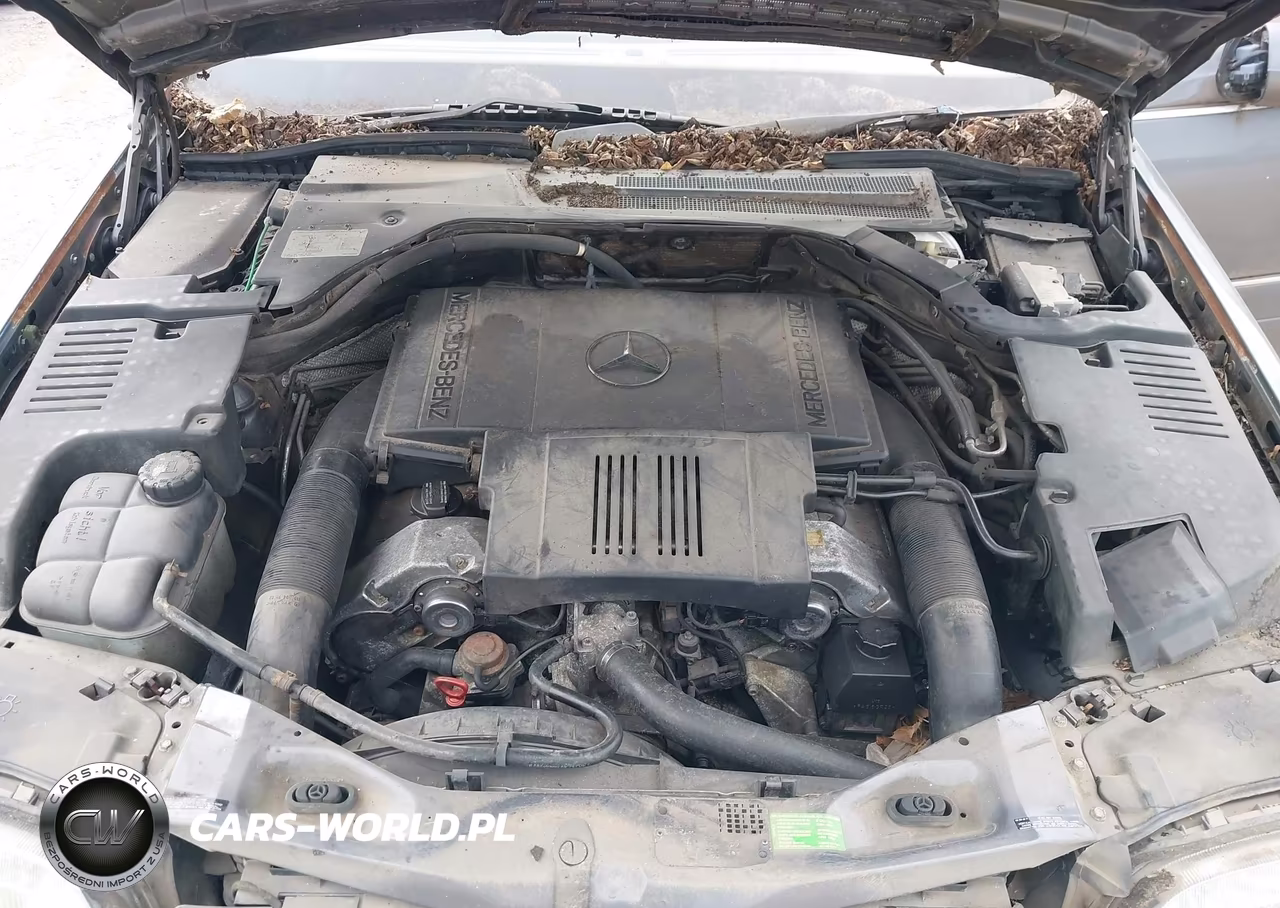 1997 Mercedes-Benz S 420 VIN:WDBGA43G3VA374632 - 10