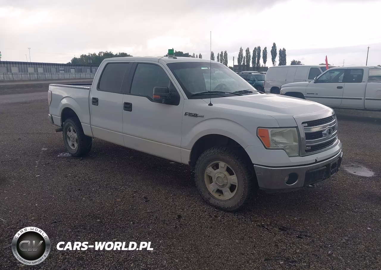 2013 Ford F-150 Xlt VIN:1FTFW1EFXDFA79773 - 1