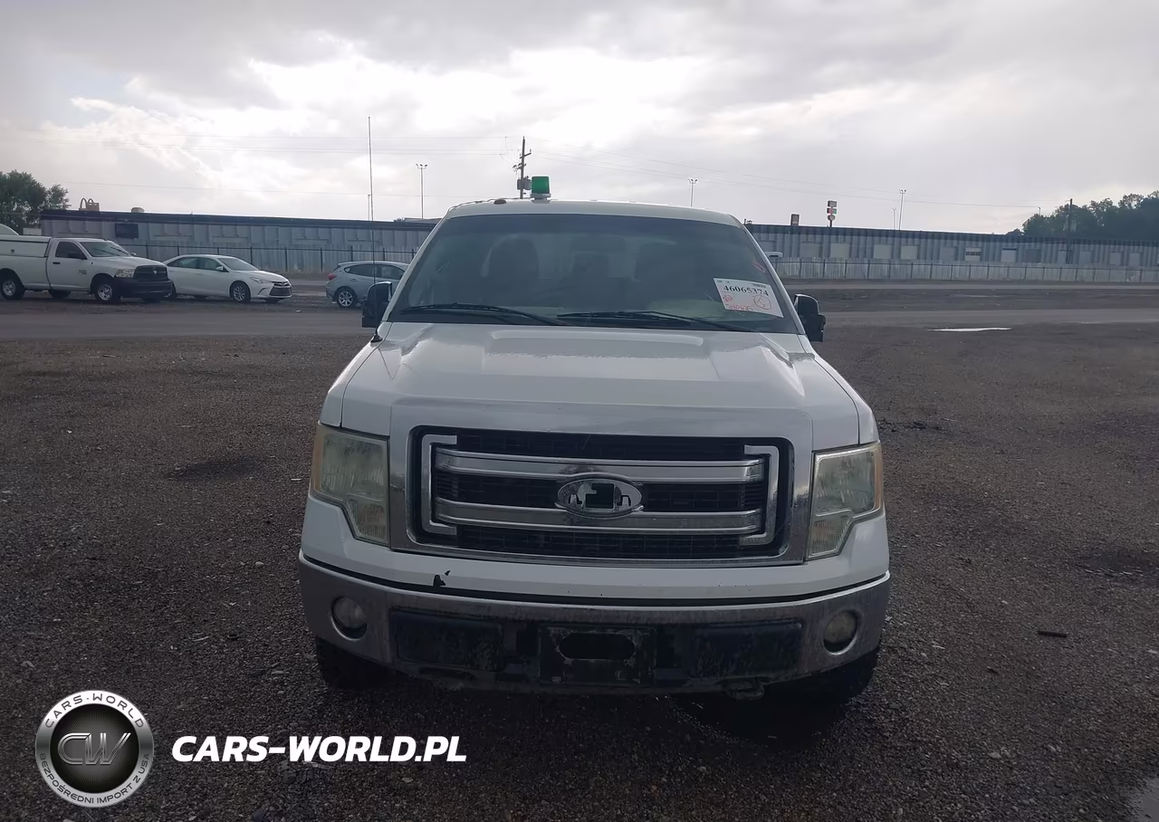 2013 Ford F-150 Xlt VIN:1FTFW1EFXDFA79773 - 12