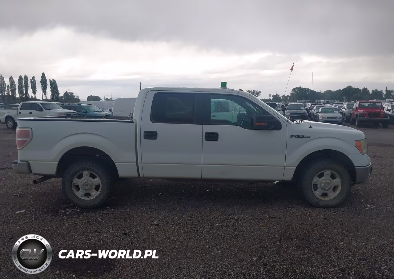 2013 Ford F-150 Xlt VIN:1FTFW1EFXDFA79773 - 13