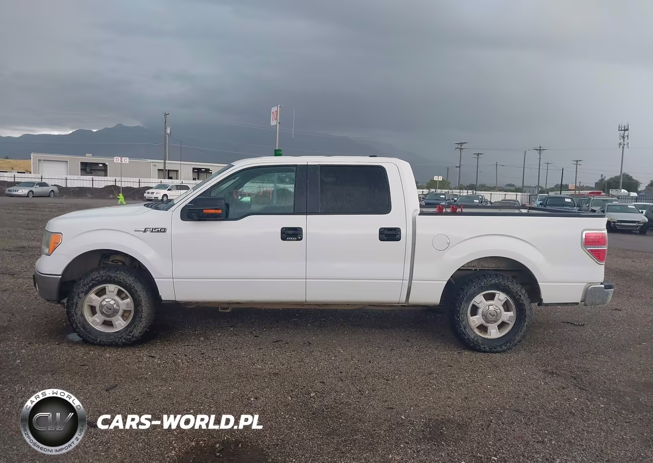 2013 Ford F-150 Xlt VIN:1FTFW1EFXDFA79773 - 14