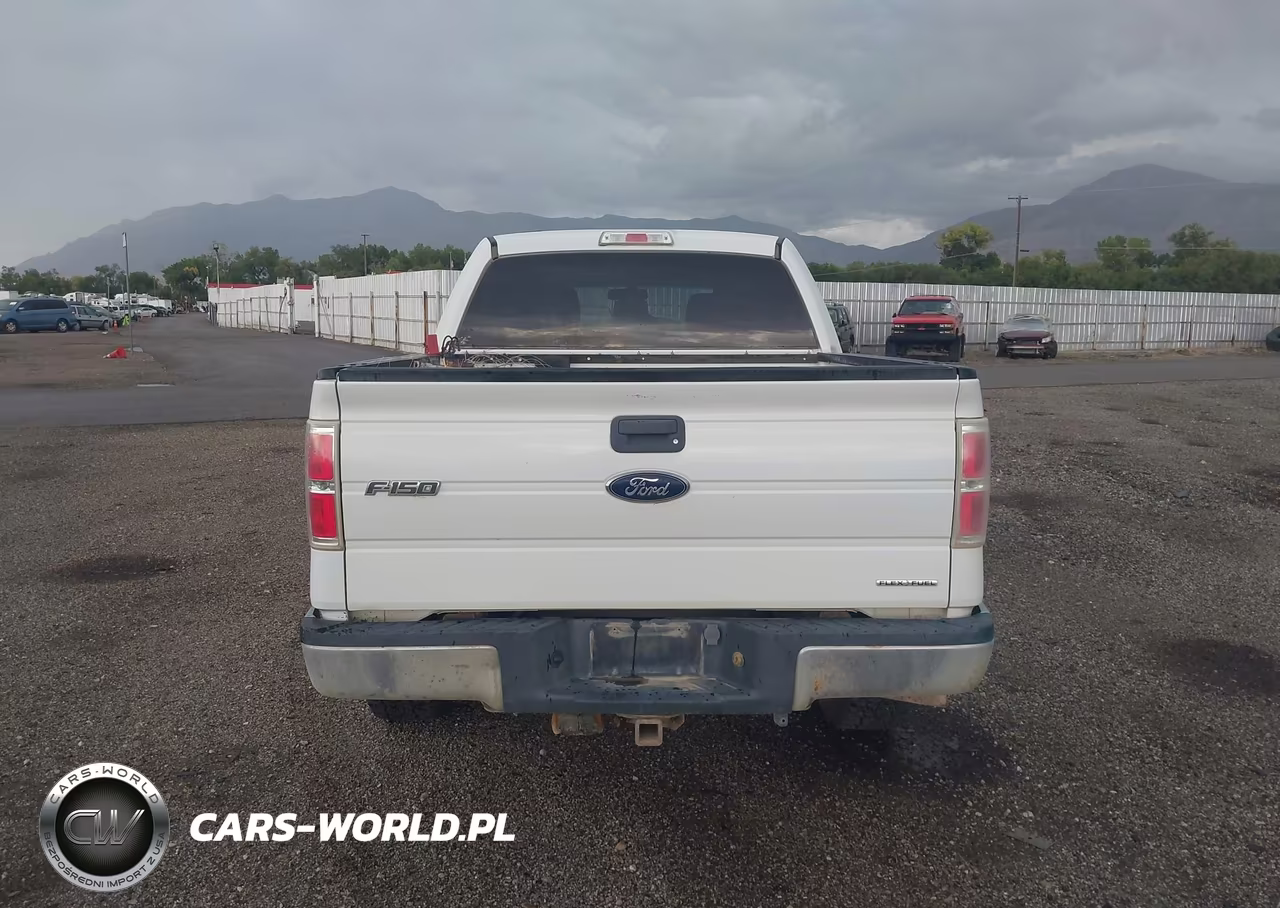 2013 Ford F-150 Xlt VIN:1FTFW1EFXDFA79773 - 16