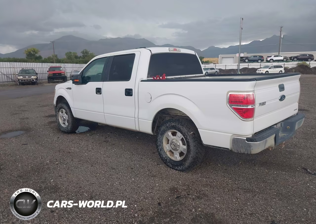 2013 Ford F-150 Xlt VIN:1FTFW1EFXDFA79773 - 3