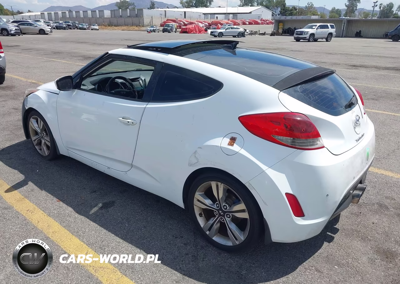 2013 Hyundai Veloster Base W-Black VIN:KMHTC6AD9DU172207 - 3
