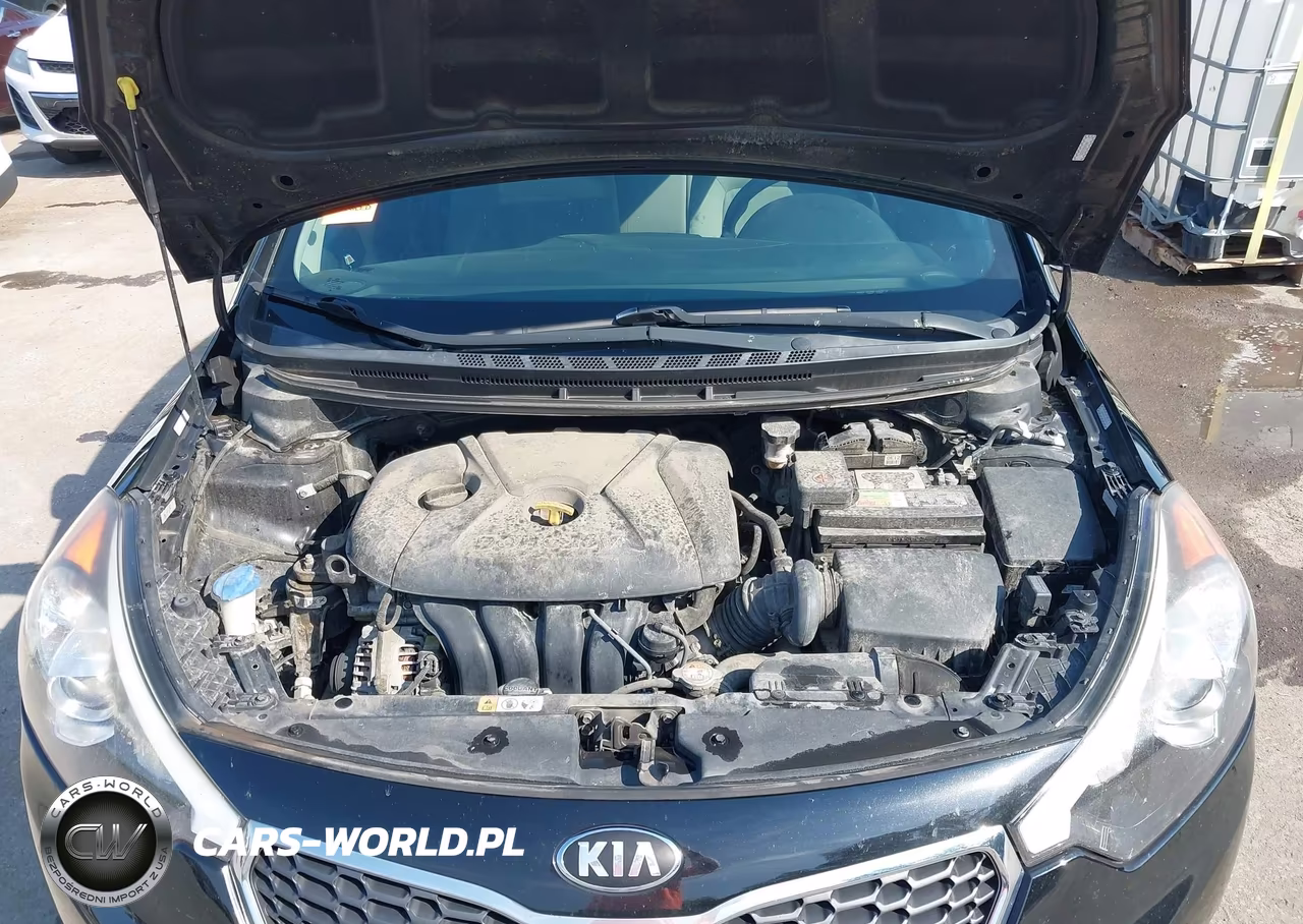 2016 Kia Forte Lx VIN:KNAFK4A63G5555226 - 10
