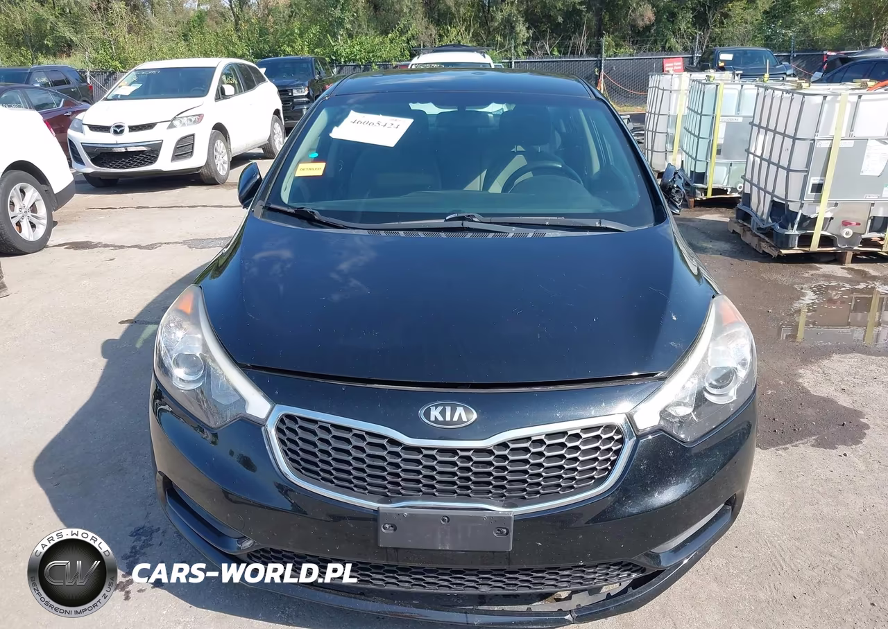 2016 Kia Forte Lx VIN:KNAFK4A63G5555226 - 13