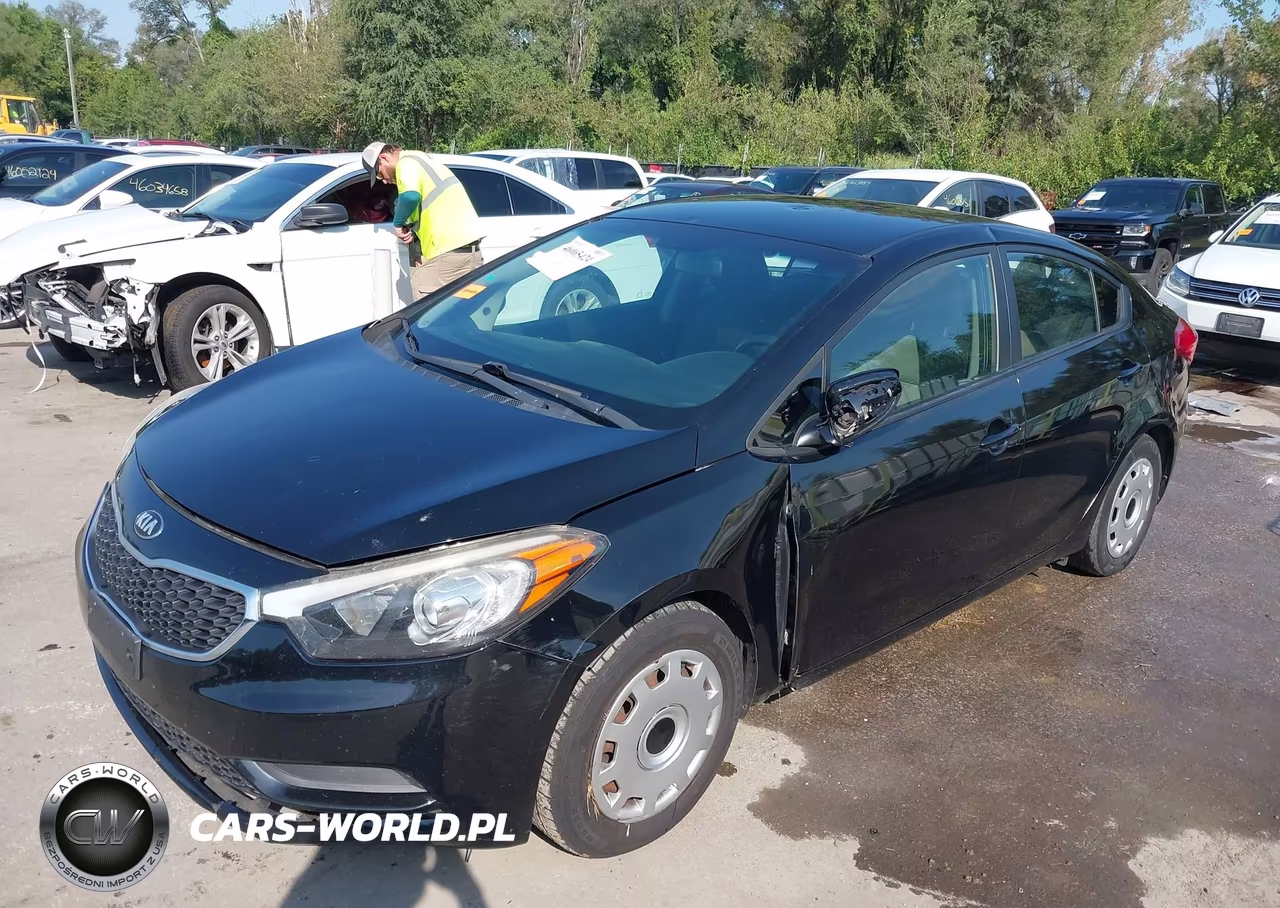 2016 Kia Forte Lx VIN:KNAFK4A63G5555226 - 2