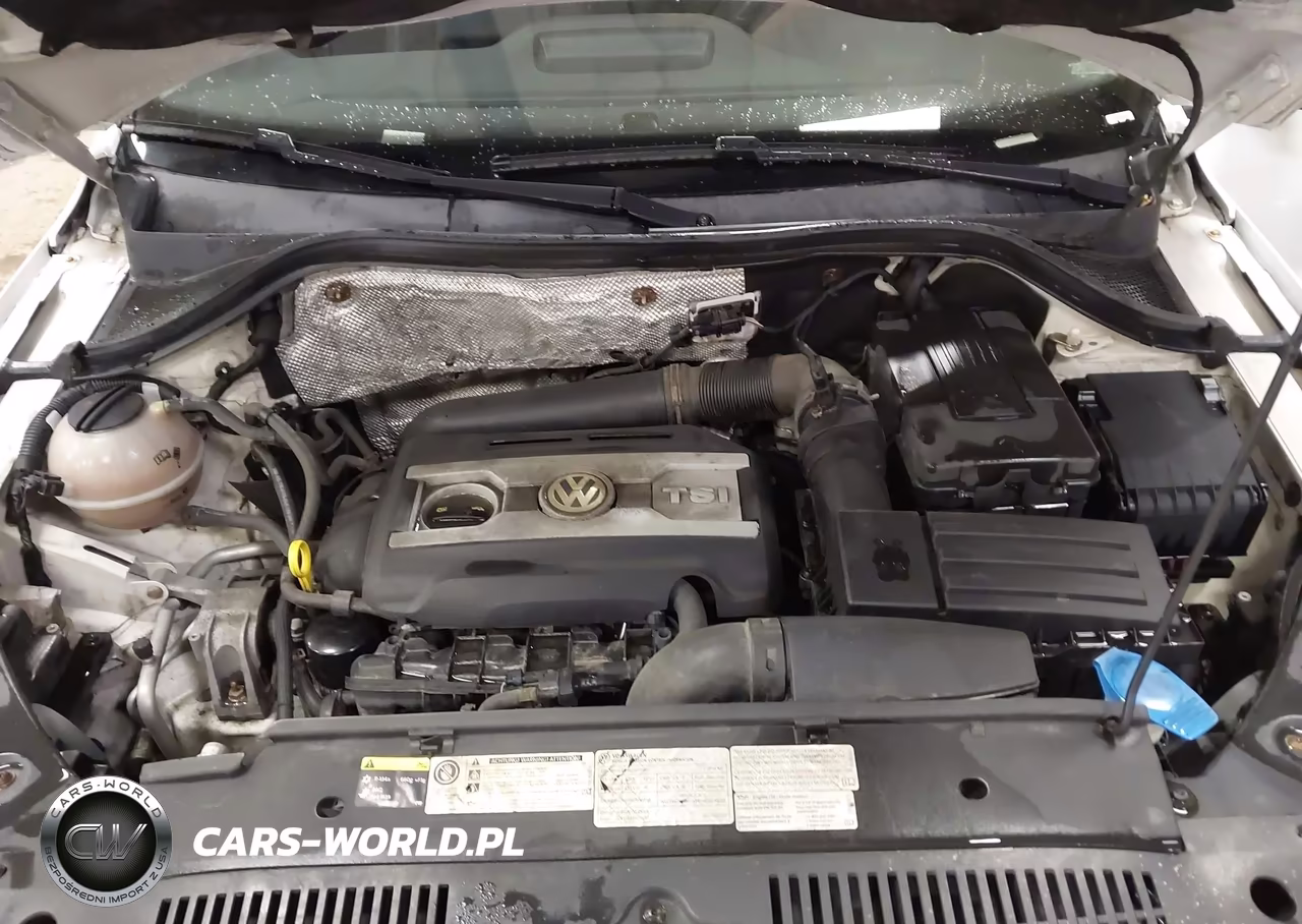 2016 Volkswagen Tiguan S VIN:WVGBV7AX1GW547540 - 10