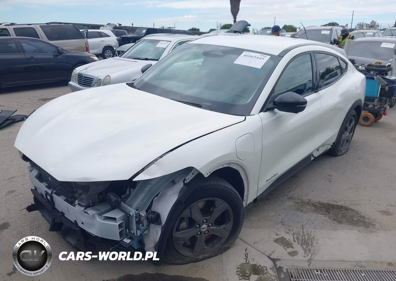 2023 Ford Mustang Mach-E Select VIN:3FMTK1R44PMB03024 - 2