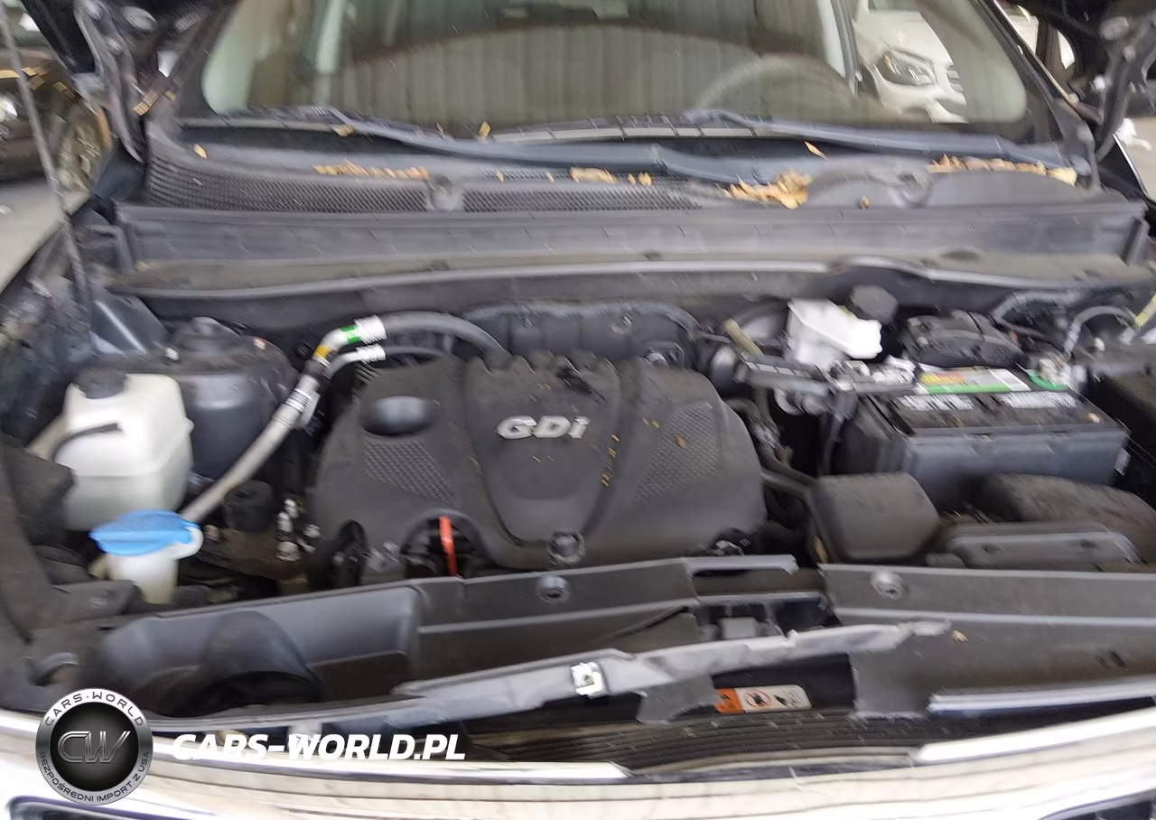2015 Kia Sportage Lx VIN:KNDPB3AC8F7743024 - 10