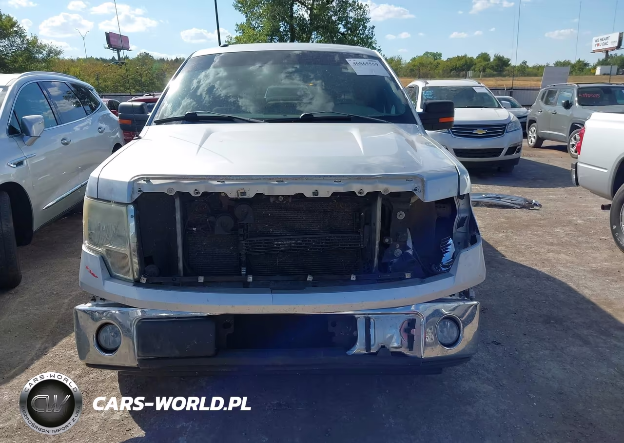 2010 Ford F-150 Fx2 Sport-Xl-Xlt VIN:1FTEW1C88AFC97156 - 13