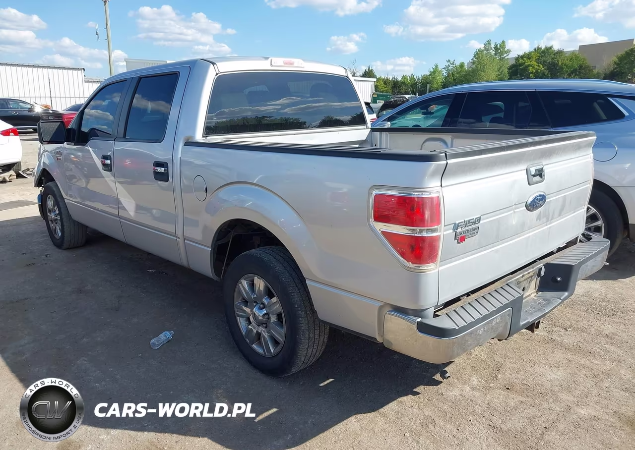 2010 Ford F-150 Fx2 Sport-Xl-Xlt VIN:1FTEW1C88AFC97156 - 3