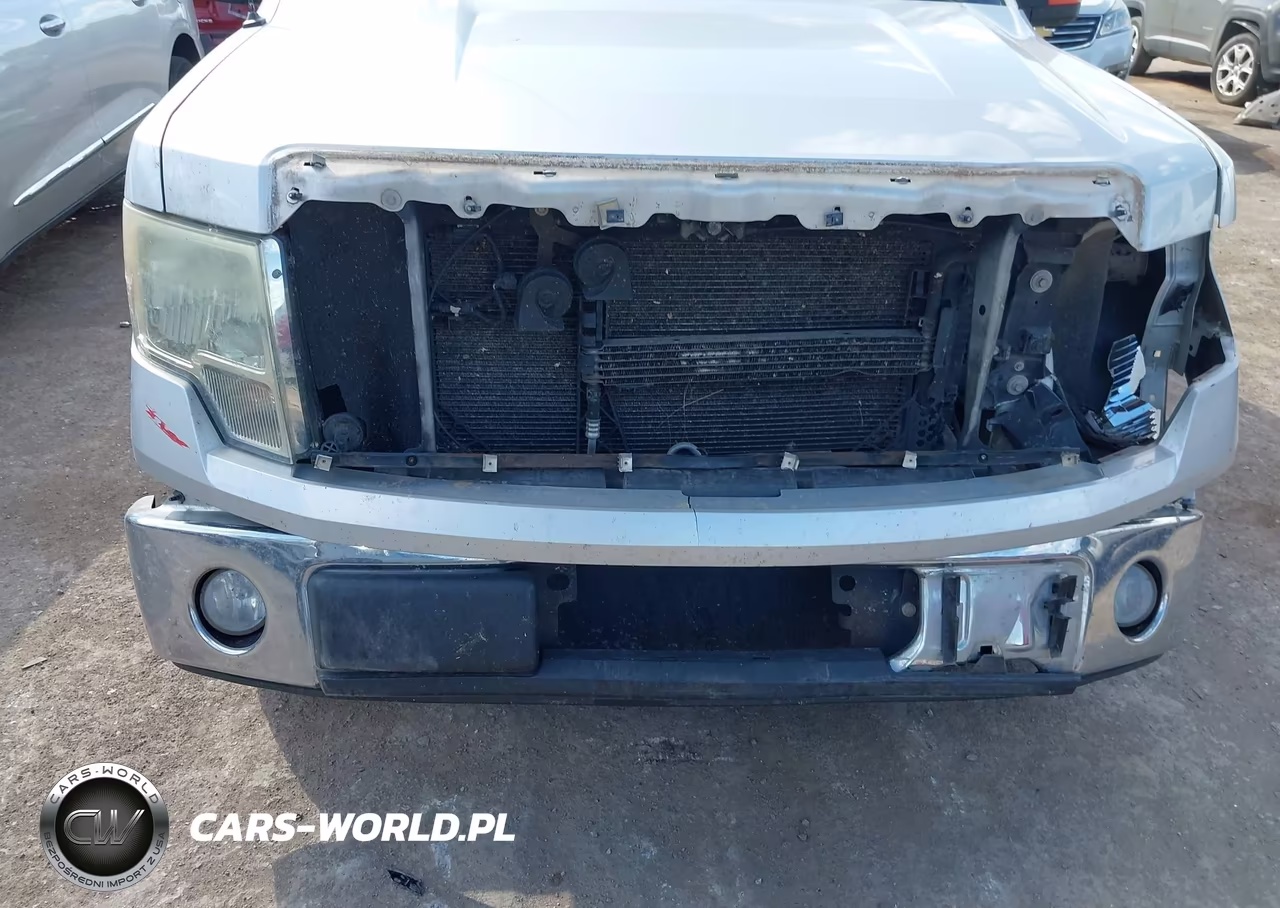 2010 Ford F-150 Fx2 Sport-Xl-Xlt VIN:1FTEW1C88AFC97156 - 6