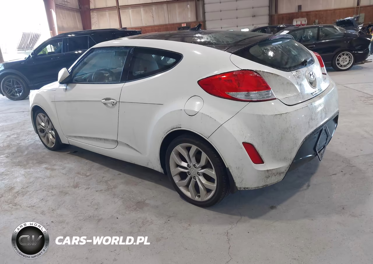 2013 Hyundai Veloster Base W-Gray VIN:KMHTC6AD7DU150531 - 3