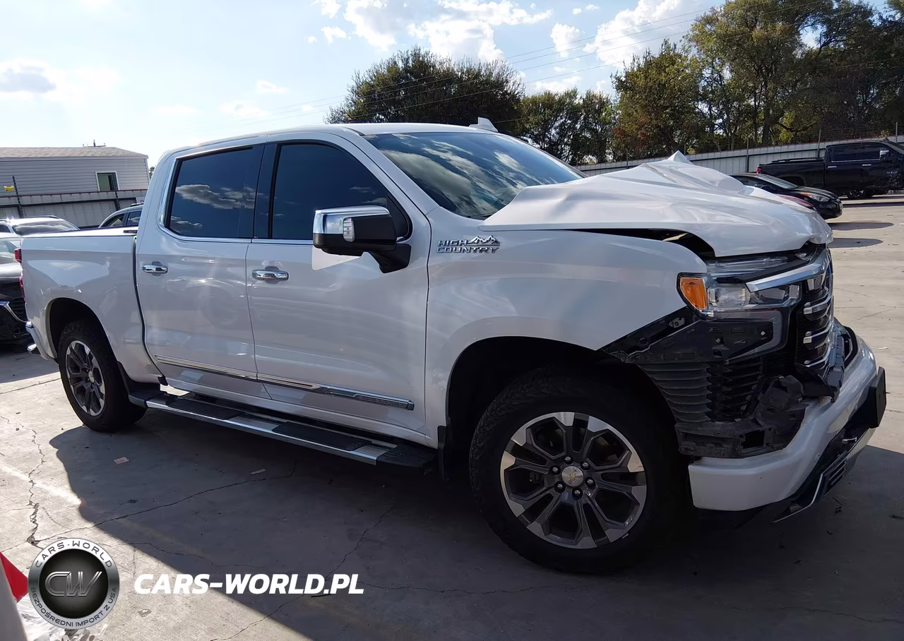 2023 Chevrolet Silverado 1500 VIN:1GCUDJED6PZ176841 - 14