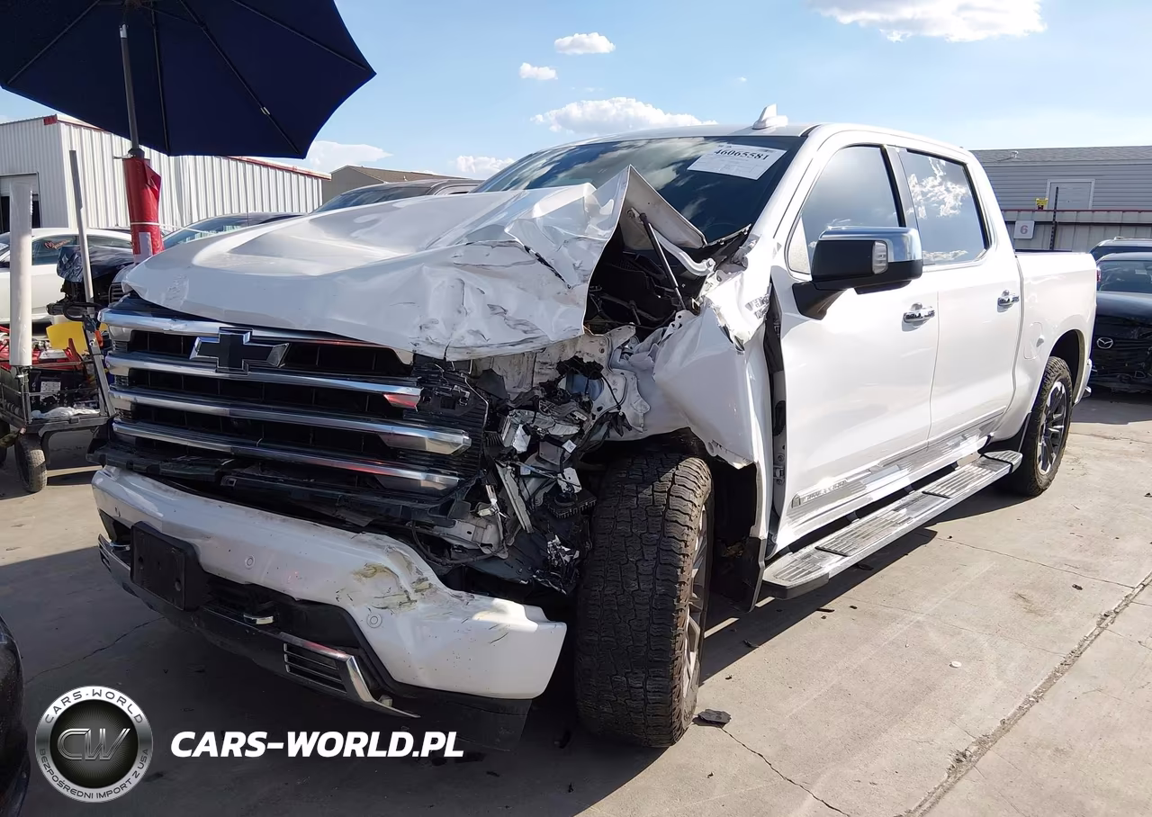 2023 Chevrolet Silverado 1500 VIN:1GCUDJED6PZ176841 - 2