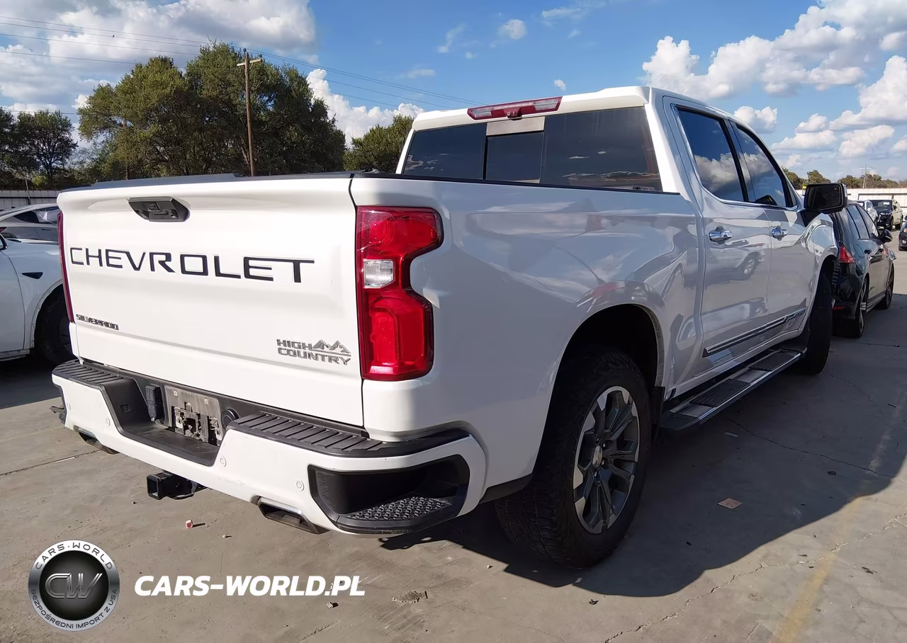 2023 Chevrolet Silverado 1500 VIN:1GCUDJED6PZ176841 - 4