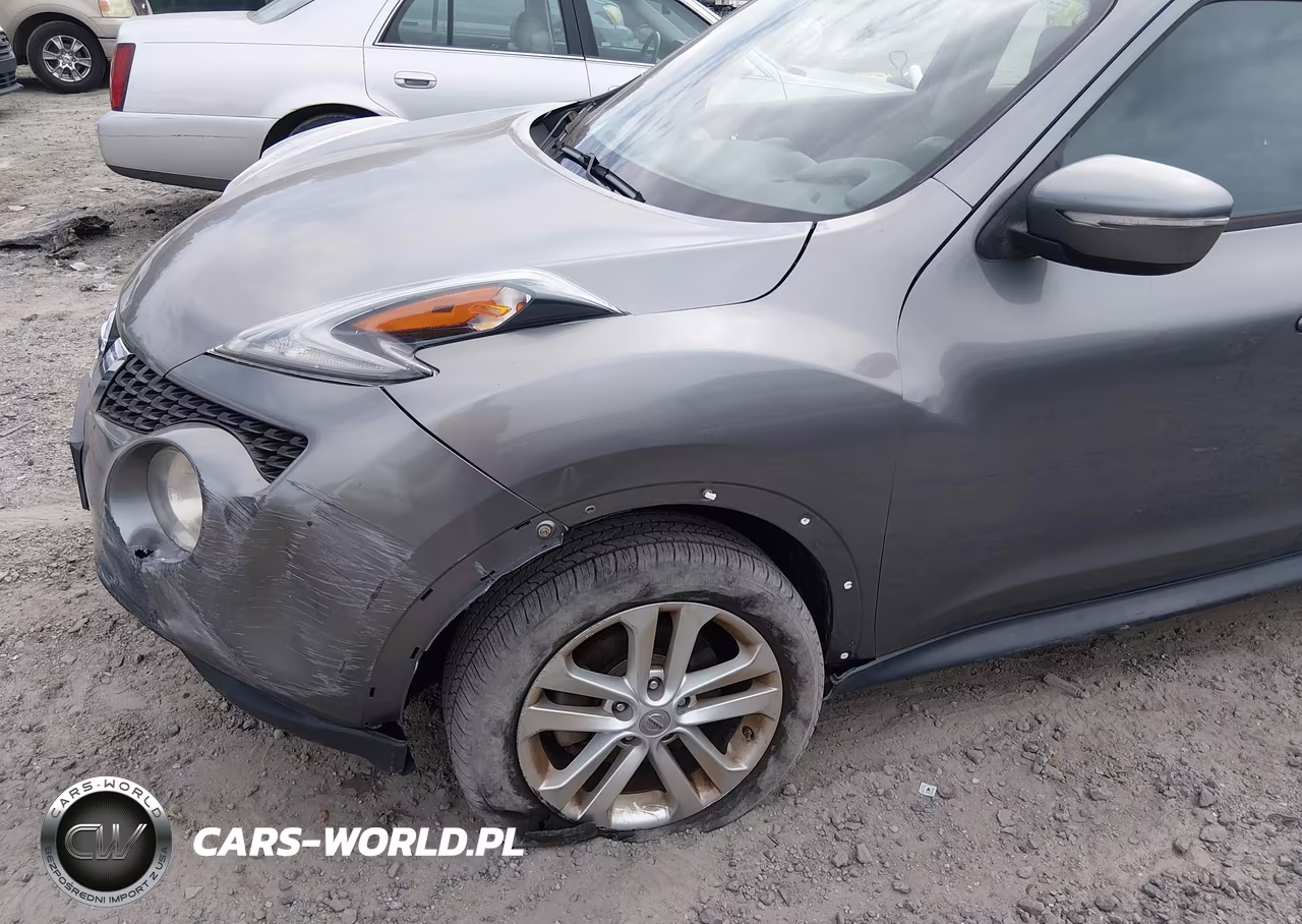 2016 Nissan Juke Nismo-S-Sl-Sv VIN:JN8AF5MR3GT604633 - 6