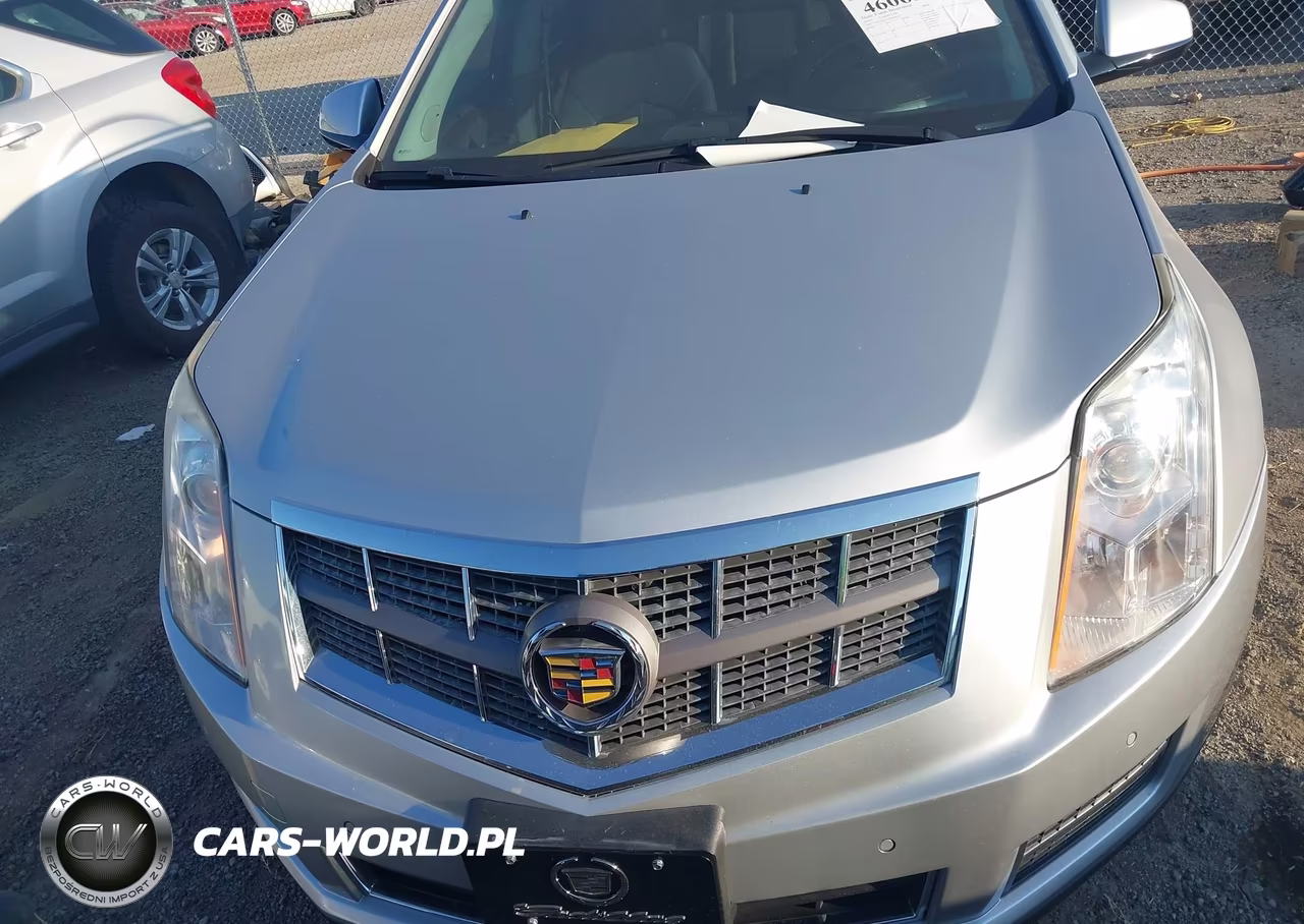 2010 Cadillac Srx Luxury Collection VIN:3GYFNDEY4AS608223 - 12