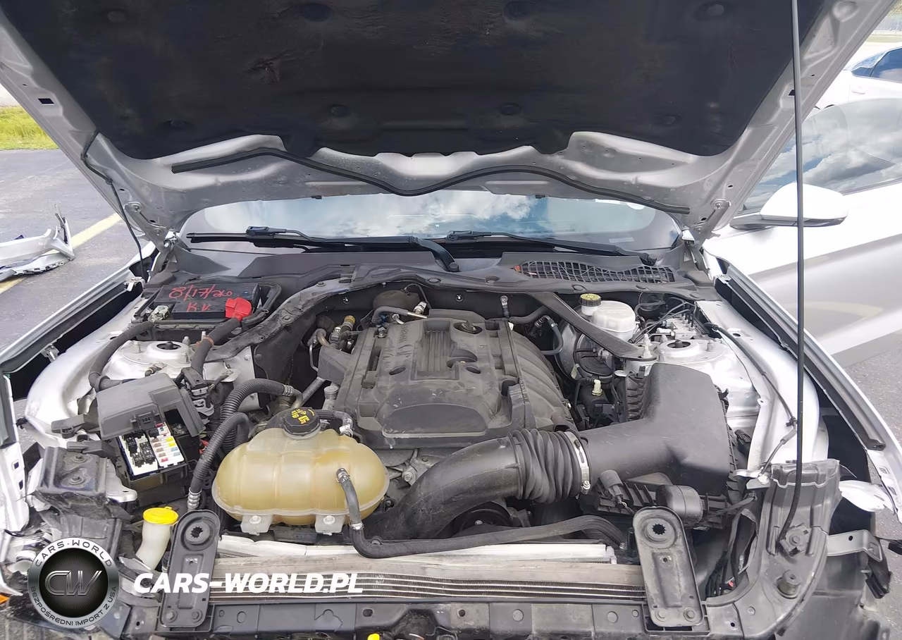 2019 Ford Mustang Ecoboost Premium VIN:1FATP8UH6K5104401 - 10