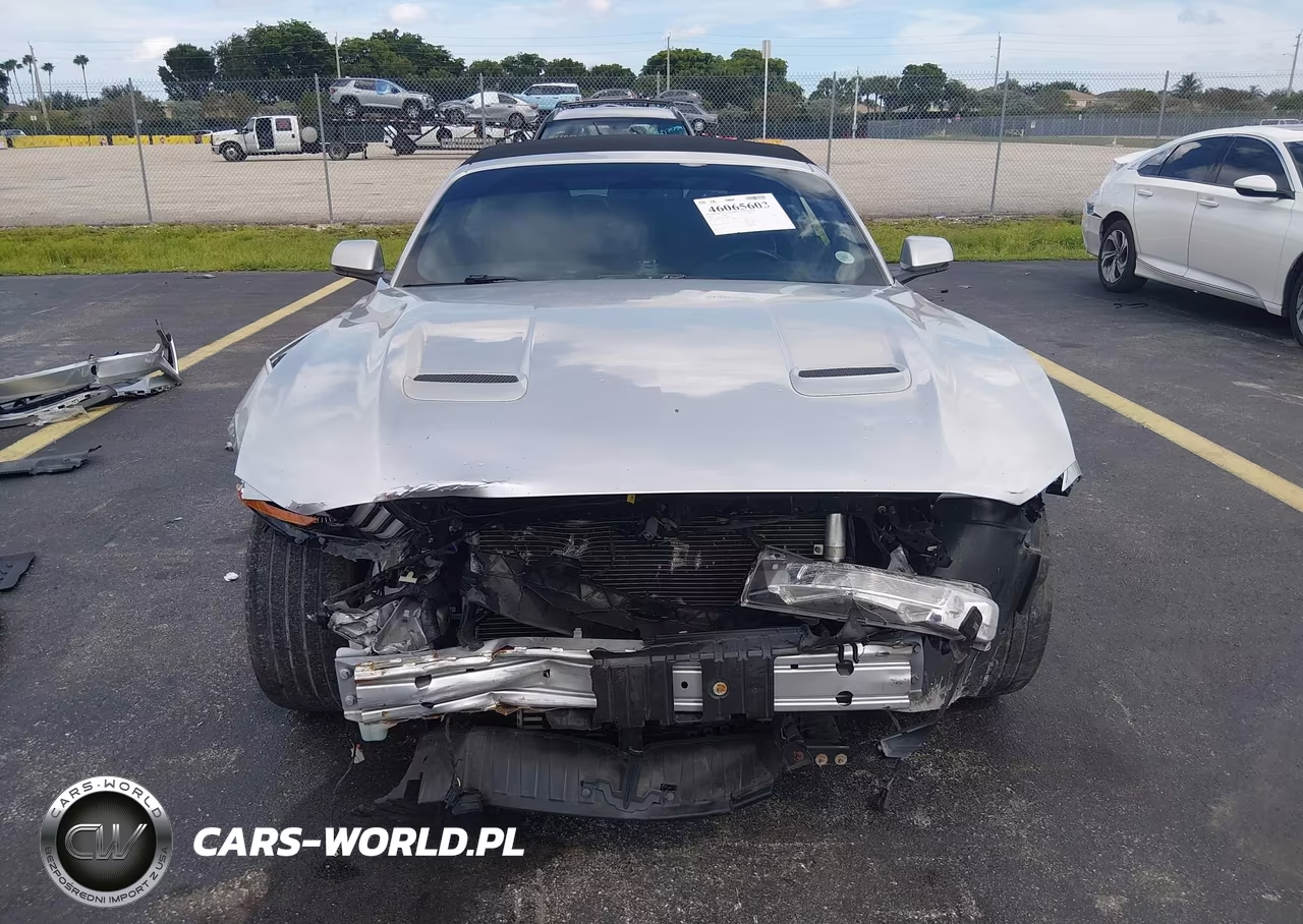 2019 Ford Mustang Ecoboost Premium VIN:1FATP8UH6K5104401 - 12