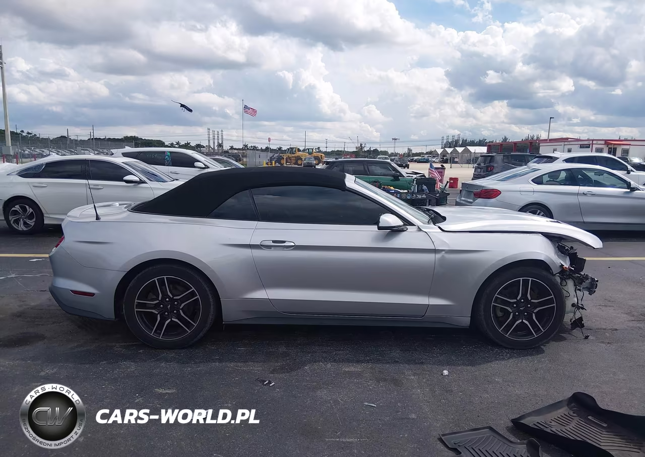 2019 Ford Mustang Ecoboost Premium VIN:1FATP8UH6K5104401 - 13