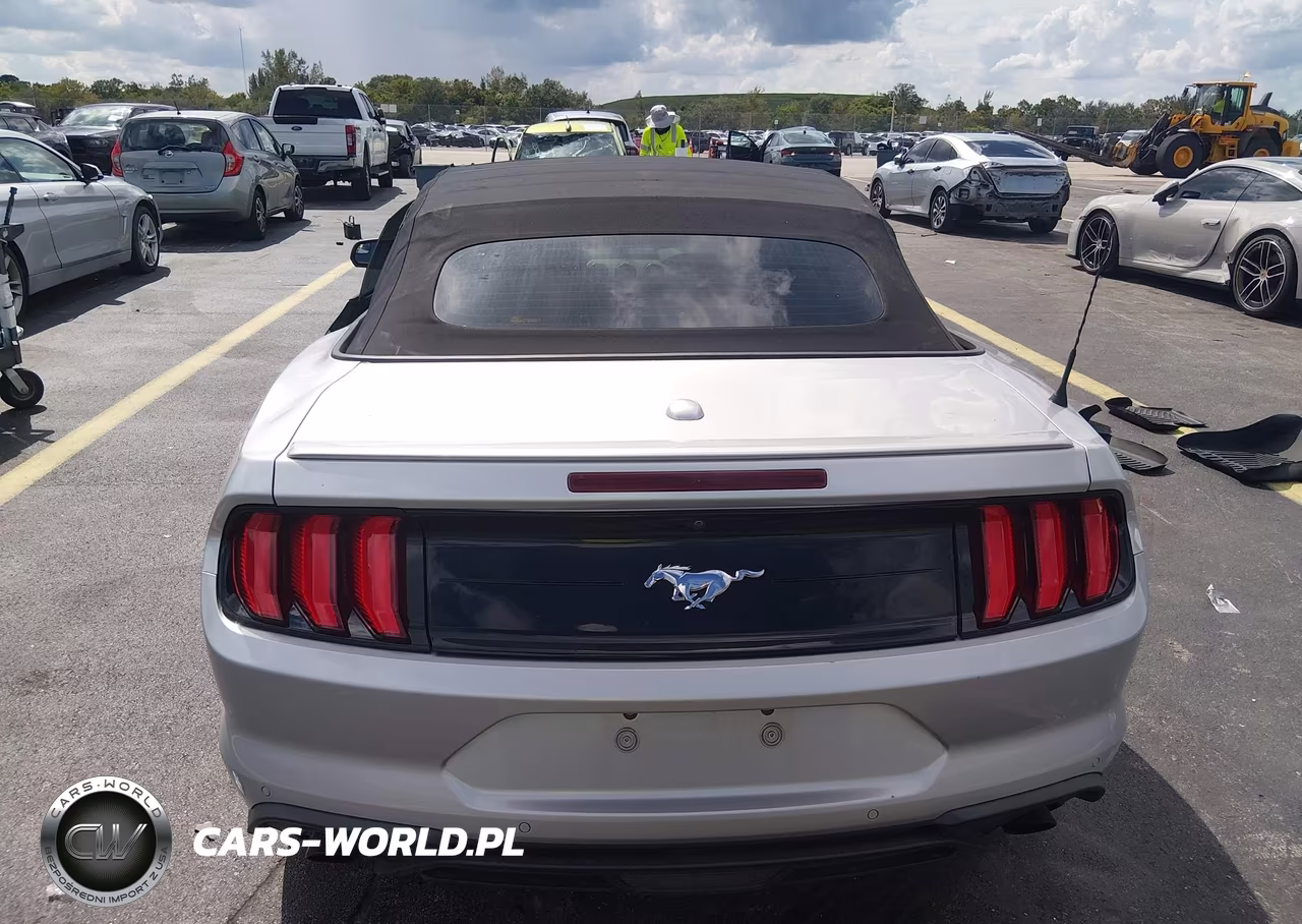 2019 Ford Mustang Ecoboost Premium VIN:1FATP8UH6K5104401 - 16
