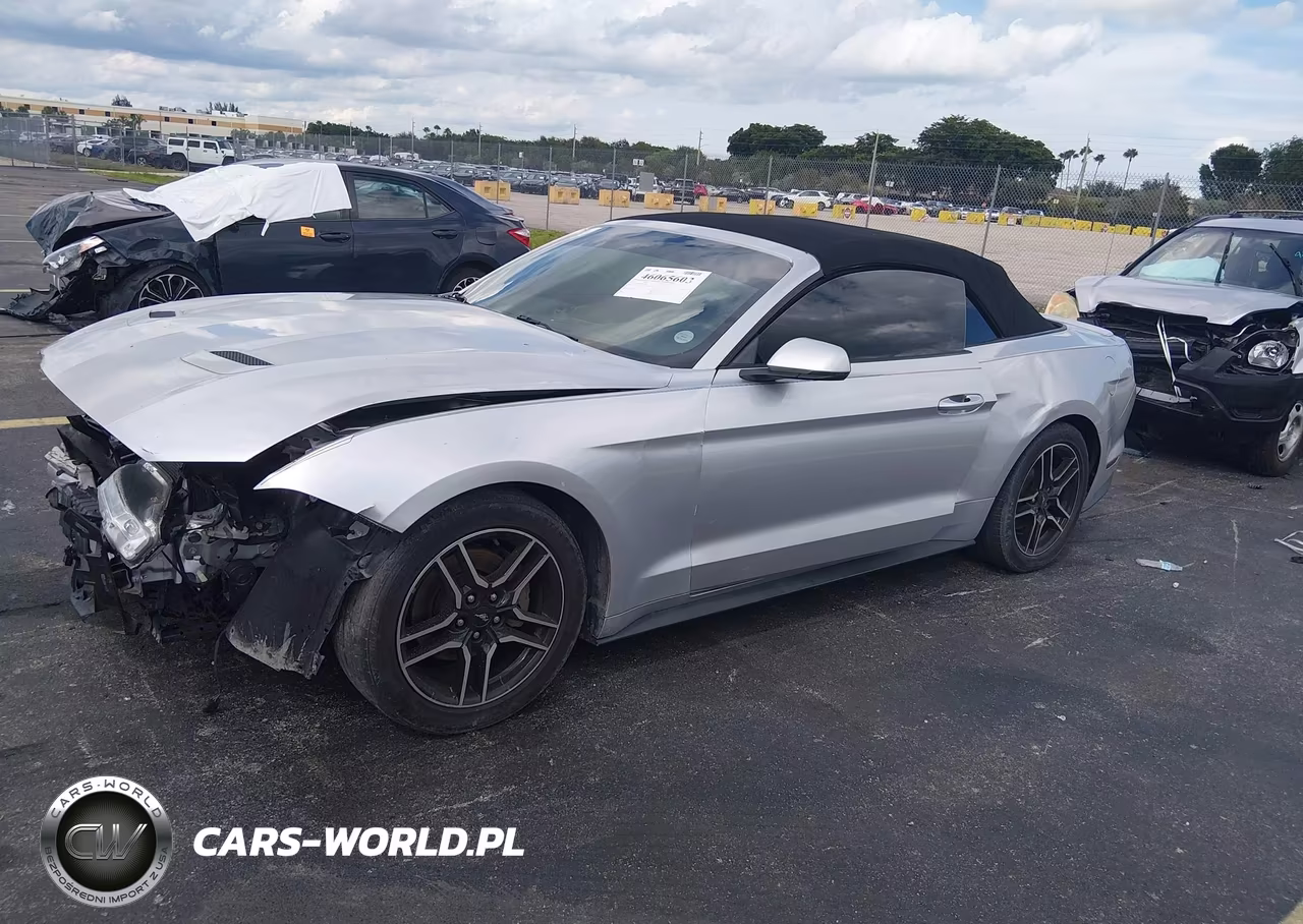 2019 Ford Mustang Ecoboost Premium VIN:1FATP8UH6K5104401 - 2