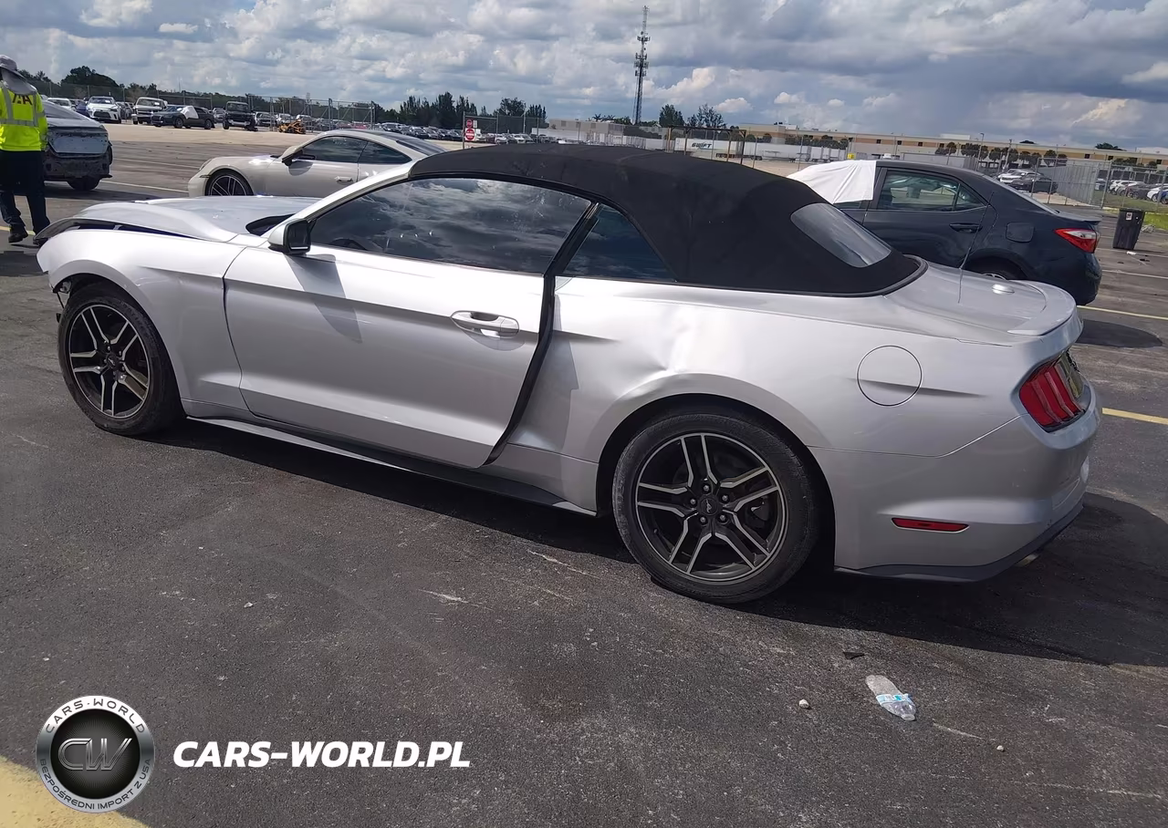 2019 Ford Mustang Ecoboost Premium VIN:1FATP8UH6K5104401 - 3
