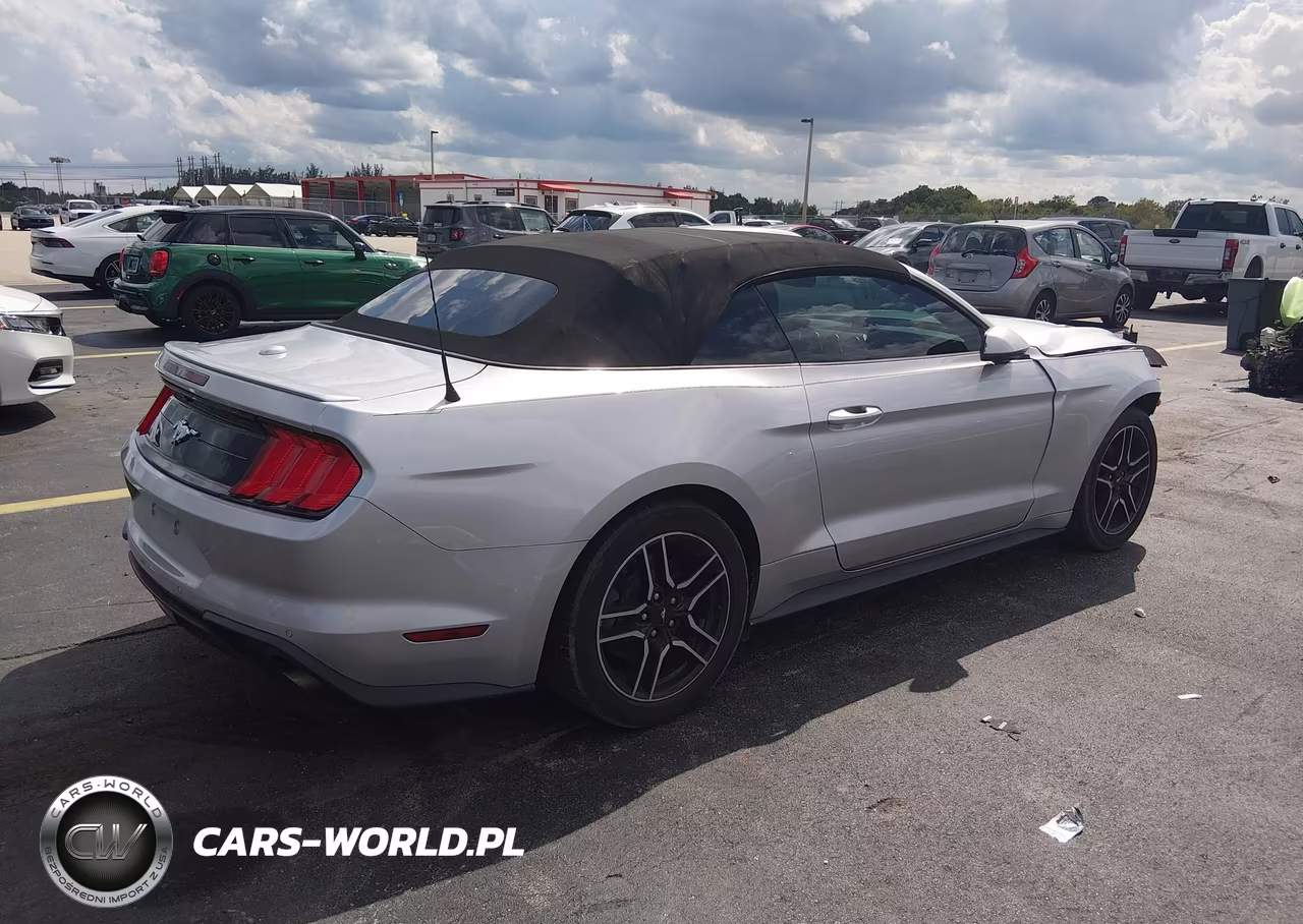 2019 Ford Mustang Ecoboost Premium VIN:1FATP8UH6K5104401 - 4