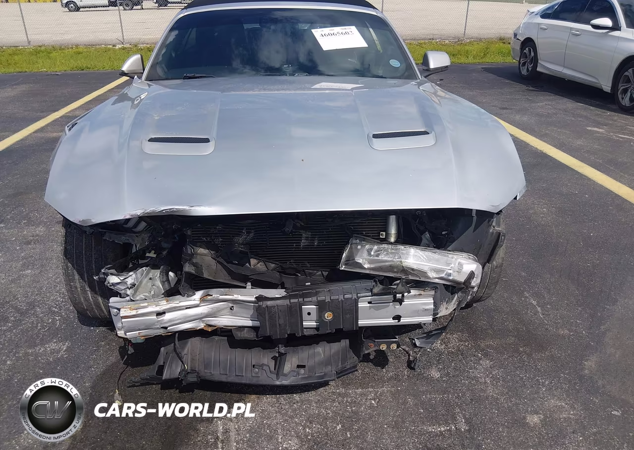 2019 Ford Mustang Ecoboost Premium VIN:1FATP8UH6K5104401 - 6