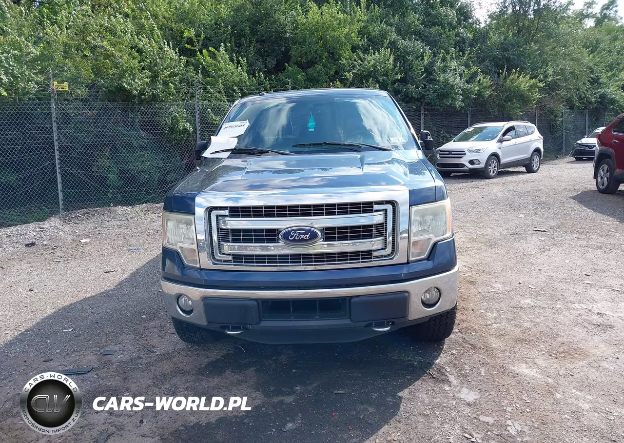 2014 Ford F-150 Xlt VIN:1FTFW1ET7EKF30267 - 12